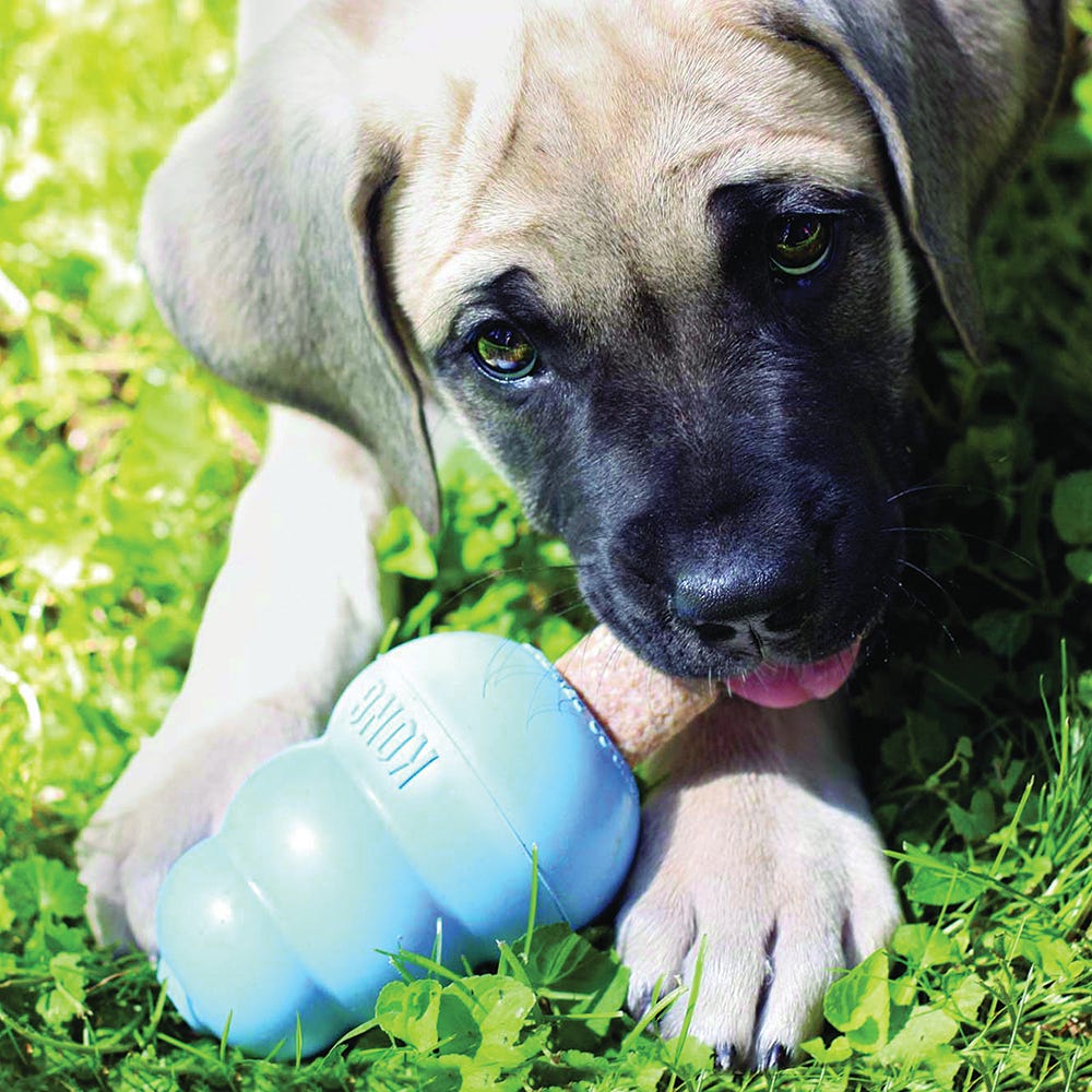 Puppy Treats